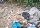 Warga Kecamatan Sunggal Temukan Tulang Belulang Manusia Dalam Sumur