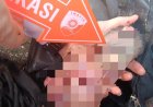 Mayat Bayi Usia 1 Hari Ditemukan Dalam Tas Hitam di Belawan