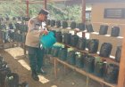 Polsek Sosopan Lakukan Pemeliharaan dan Penyiraman Tanaman P2B