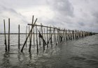 PSN & Pagar Laut: Kekuatan Regulator Negara VS Kekuatan Kekayaan Oligark
