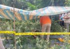 Derita Sakit Lambung dan Ginjal, Petani di Simalungun Ditemukan Tewas dalam Kebun cabai