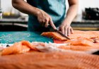 Manfaat Ikan Salmon, Satu Diantaranya Menjaga Kesehatan Otak