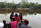 Seorang Nelayan Tewas Diterkam Buaya saat Cari Siput di Sungai Trok Inhil