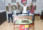 Polres Langsa Ringkus 3 Tersangka Narkoba, 10 Kg Ganja Disita