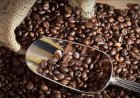 Pasokan Menipis, Harga Kopi Arabika Melonjak ke Level Tertinggi