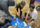 Lagi, Polres Binjai Gerebek Barak Narkoba, 1 Pria Ditangkap di Lokasi