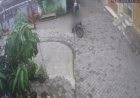Banting Balita, Oknum Guru di Tangerang Ditangkap: Aksi Terekam CCTV