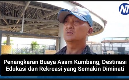 Penangkaran Buaya Asam Kumbang, Destinasi Edukasi dan Rekreasi yang Semakin Diminati