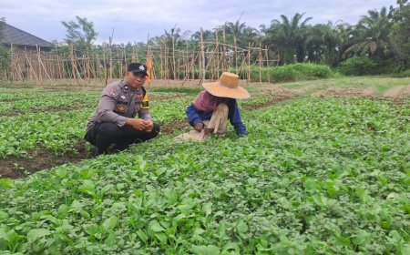 Dekat dengan Petani, Bhabinkamtibmas Polsek Stabat Dorong Ketahanan Pangan di Desa Karang Rejo