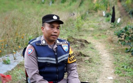 Kisah Bripka Adi Ubah Ladang Ganja jadi Lahan Palawija di Nagan Raya, Aceh
