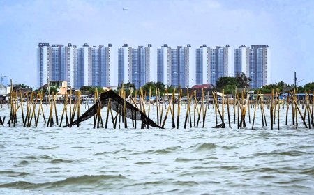 Pemerintah Diminta Usut dan Investigasi Keberadaan Pagar Laut di Tangerang dan Bekasi