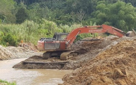 WN China Penambang Emas Ilegal 774 Kg Divonis Bebas, MITI : Putusan Janggal dan Aneh