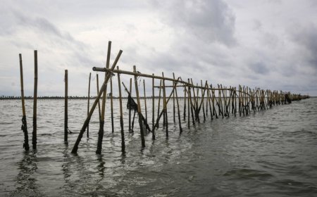 PSN & Pagar Laut: Kekuatan Regulator Negara VS Kekuatan Kekayaan Oligark