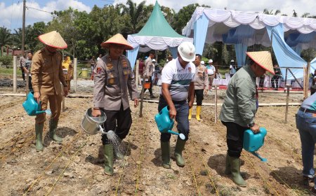 Penanaman Jagung Serentak 1 Juta Hektar: Wujud Nyata Program Ketahanan Pangan