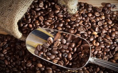 Pasokan Menipis, Harga Kopi Arabika Melonjak ke Level Tertinggi