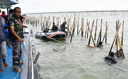 Mafia Tanah Kuasai Pesisir, Akademisi: Negara Harus Sita Lahan Pagar Laut