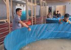 Rutan Kelas IIB Pangkalan Brandan Ternak Lele dan Ayam, Panen Pertama Dibagikan ke Masyarakat