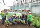 Lapas Cipinang Latih Kemandirian Warga Binaan Lewat Urban Farming