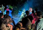 Macet 2 Km Dampak Pohon Tumbang, Tim dari TPL Gerak Cepat Atasi Kelancaran Lalu Lintas