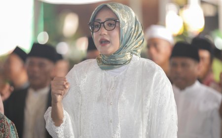Ribuan Ton Beras Impor Diduga Masuk RI, Komisi IV Tagih Komitmen Pemerintah