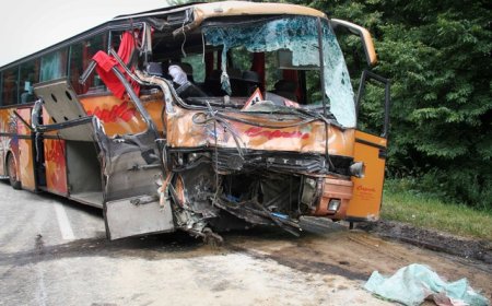 Bus Terjun ke Jurang, 51 Penumpang Tewas