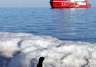China jadi Negara Pertama Terapkan Teknologi Energi Hidrogen di Antartika