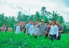 Bupati Batu Bara Baharuddin Ingin Petani Cabai Lubuk Cuik jadi Orang Kaya Baru