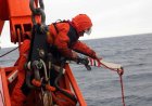 Tim Ilmuwan China Berhasil Identifikasi Enam Genus dan Tujuh Spesies Baru Bakteri Antarktika