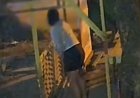 Viral Gadis 19 Tahun Melahirkan Berdiri di Medan, Ini Penjelasan Polisi