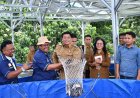 Dorong Pertumbuhan Ekonomi, Pemkab Samosir Panen Perdana Ikan Nila Kelompok Budidaya