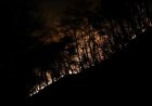 Kebakaran Hutan dan lahan di Korsel, Jumlah Korban Tewas Bertambah jadi 26 Orang