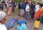 Dua Jamaah Salat Idul Fitri Tewas Tertimpa Pohon