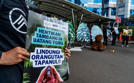 Lawan Perusakan Hutan Batang Toru, Ribuan Orang di Dunia Tandatangani Petisi