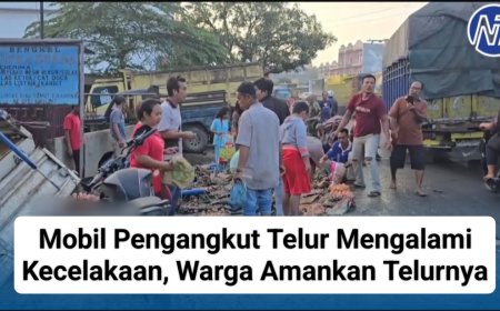 Mobil Pengangkut Telur Mengalami Kecelakaan, Warga Menjarah Telur yang Berserakan