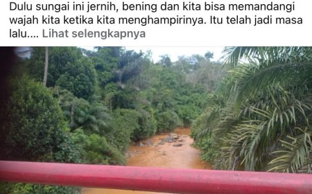 Todung Minta Kapolri dan Kapolda Sumut Turun Tertibkan PETI di Kampung Halamannya
