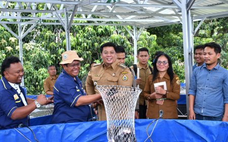 Dorong Pertumbuhan Ekonomi, Pemkab Samosir Panen Perdana Ikan Nila Kelompok Budidaya
