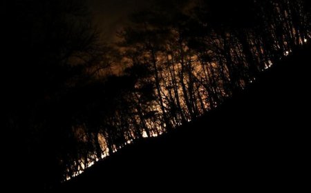 Kebakaran Hutan dan lahan di Korsel, Jumlah Korban Tewas Bertambah jadi 26 Orang