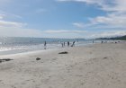 Cerita Warga soal Empat Wisatawan Tenggelam di Pantai Binasi Sorkam