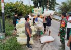 TNI-Bulog Bergerak, Harga Gabah Tetap Untungkan Petani