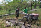 Babinsa Bantu Petani Percepat Tanam Padi, Dukung Program Swasembada Pangan