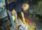 Remaja Perempuan Tewas Terbakar usai Nonton Pertandingan Bola