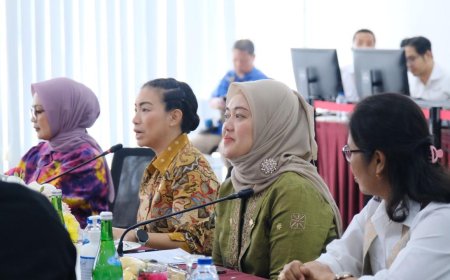 Relaksasi TKDN Mencuat, Komisi VII: Jaga Keseimbangan, Lindungi Industri Dalam Negeri
