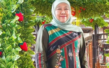 Gubernur Jatim Temui Kemenkes Budi: Tiga Program  Penting RSP-PU di Pemprov Jatim