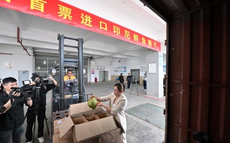 Jadi Pendatang Baru, Bagaimana Prospek Kelapa Segar Indonesia di Pasar China