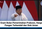 Enam Bulan Pemerintahan Prabowo, Harga Pangan Terkendali dan Stok Aman
