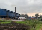 Belasan Buruh Pabrik Kelapa Sawit di Asahan di PHK Setelah Pertanyakan Upah yang Dipotong
