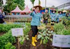 Airin Waas Tinjau dan Panen Sayuran di Taman Setia Sempakata