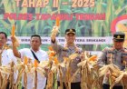 Dukung Ketahanan Pangan, Polres Tapteng Panen Jagung Tahap II