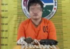 Satresnarkoba Polres Padangsidimpuan Amankan 21 Paket Ganja dari Sopir Truk