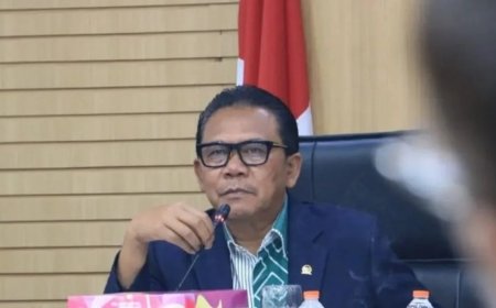 Belajar dari Negara Maju, Legislator: Preman Berkedok Ormas Harus Dipidana dan Dibubarkan